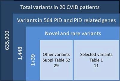 Identification of Novel Genetic Variants in CVID Patients With Autoimmunity, Autoinflammation, or Malignancy